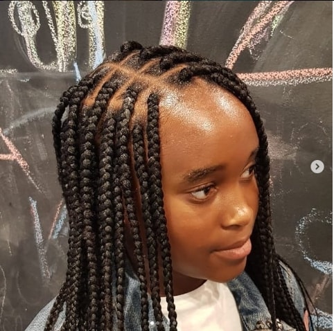 31 Box Braids For Kids 2019, Perfect Styles With Detailed ...